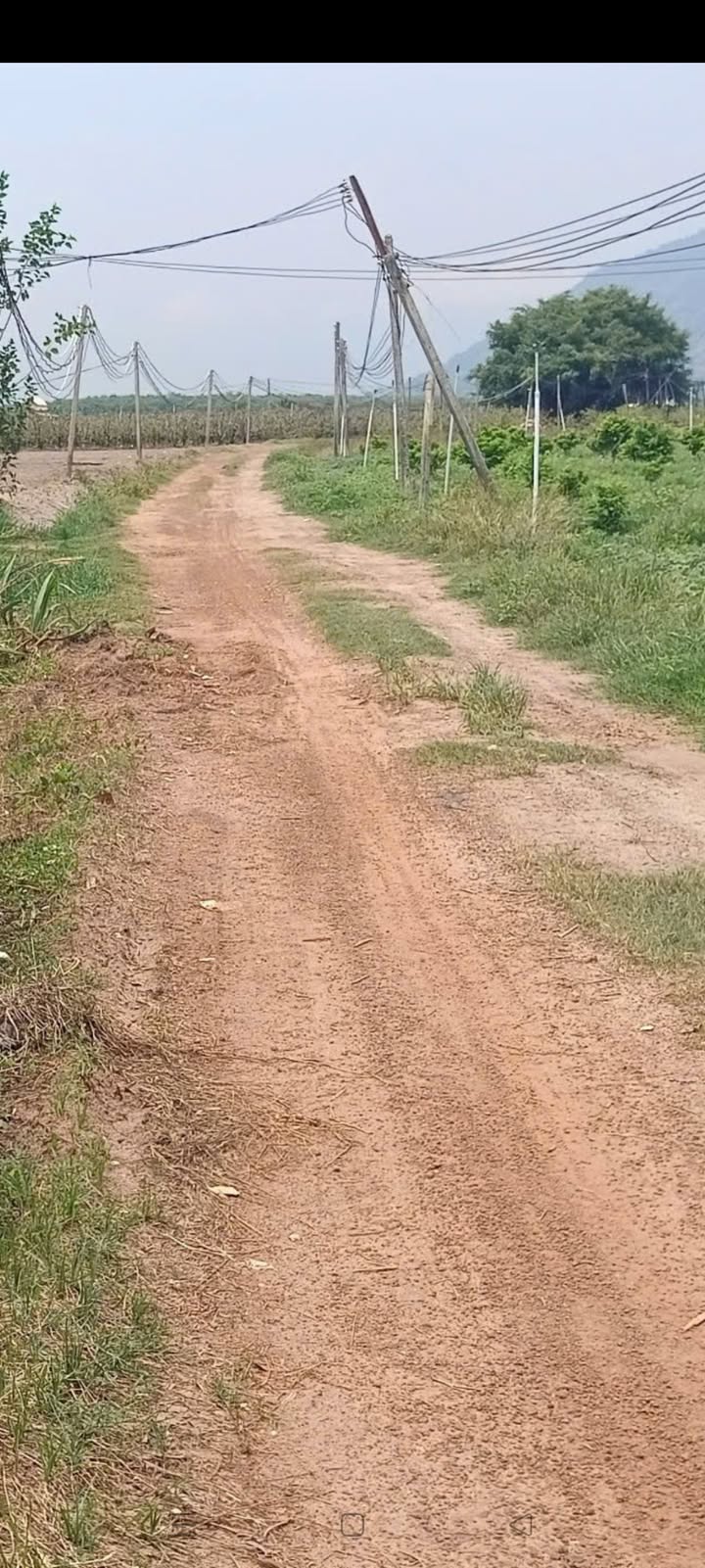 Đất thổ cư Suối Đá Dương Minh Châu 355m² giá 270 triệu - Đường ô tô tới nơi!