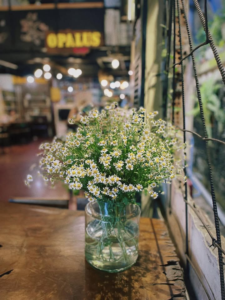 Đất thổ cư 2000m² Đạ Long - Sổ hồng công chứng ngay, giá 8 tỷ