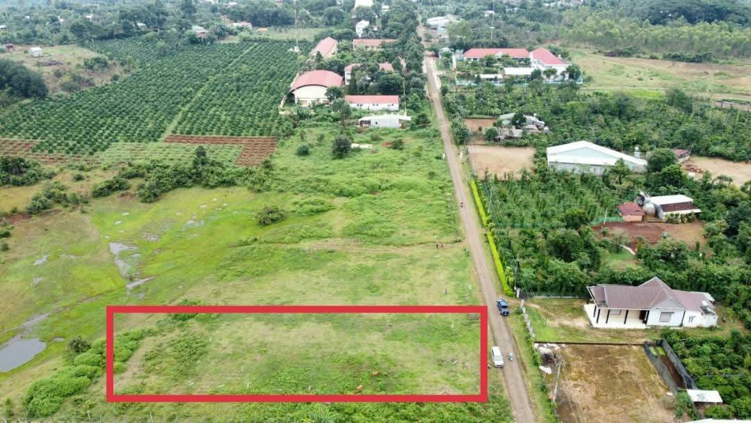 Đất nền mặt tiền đường Trần Can, xã Gào, 530m² - Giá chỉ 499 triệu!