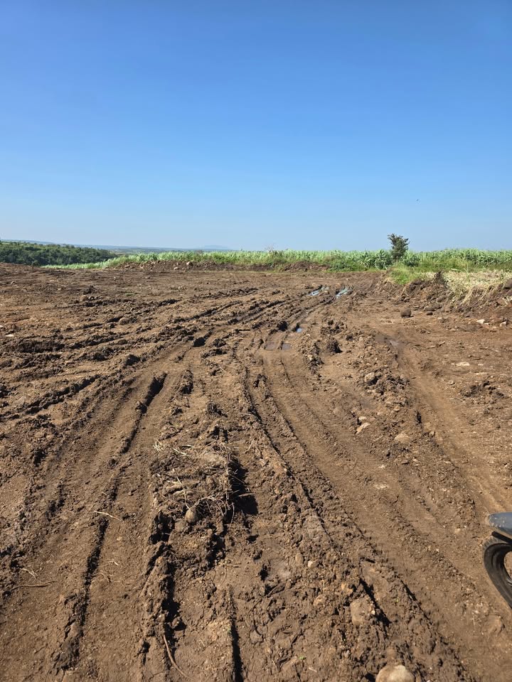 Đất nông nghiệp H Bông, Chư Sê 2,3ha giá 580 triệu - View suối tuyệt đẹp!