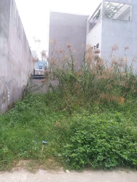 Đất hẻm 175 đường 2, phường Tăng Nhơn Phú, Thủ Đức 80.5m² giá 5 tỷ - Cơ hội đầu tư hấp dẫn!