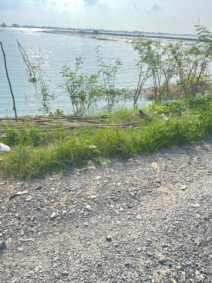 Đất nông nghiệp Tân Công Sính 65.000m² giá 7.8 tỷ - Pháp lý rõ ràng, tiện ích đầy đủ!