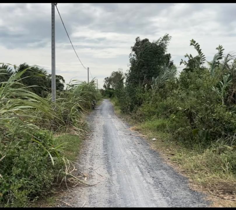 Đất nông nghiệp Tân Công Chí, Tân Hồng 3600m² - Phù hợp đầu tư nhà yến!