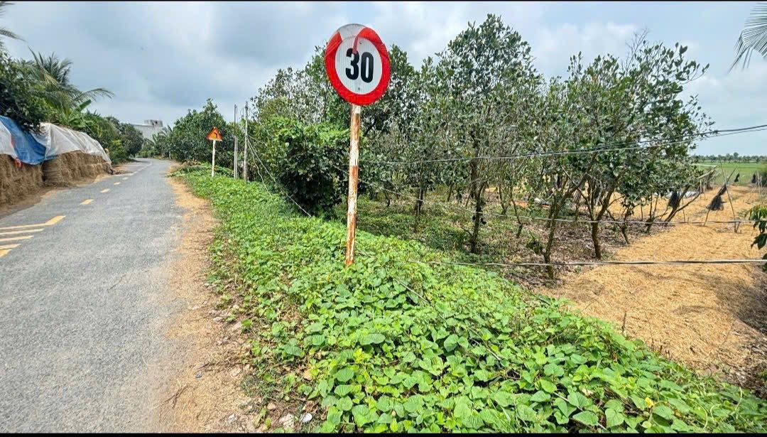 Đất nền An Long 160m² giá 350 triệu - Sổ đỏ chính chủ, ô tô vào tận đất!