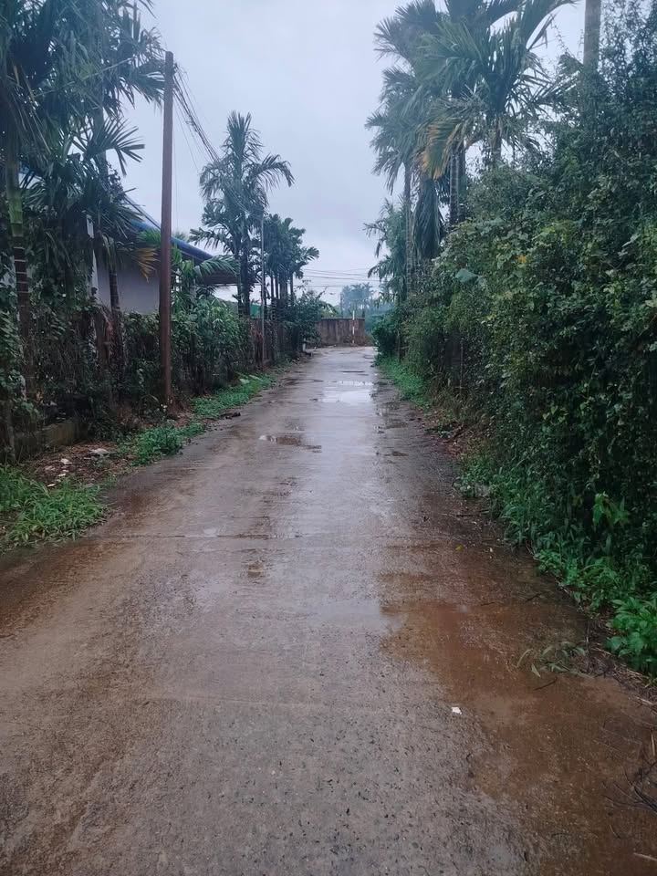 Đất nền Hẻm Nguyễn Duy Trinh, Đạt Hiếu, 300m² giá 1.9 tỷ - Cơ hội đầu tư hấp dẫn!