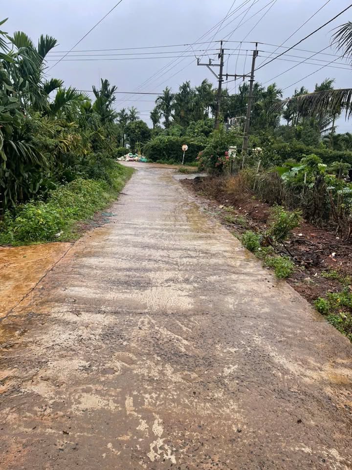 Đất nền Cư Bao, Buôn Hồ 330m² giá chỉ 500 triệu - Đầu tư sinh lời ngay!