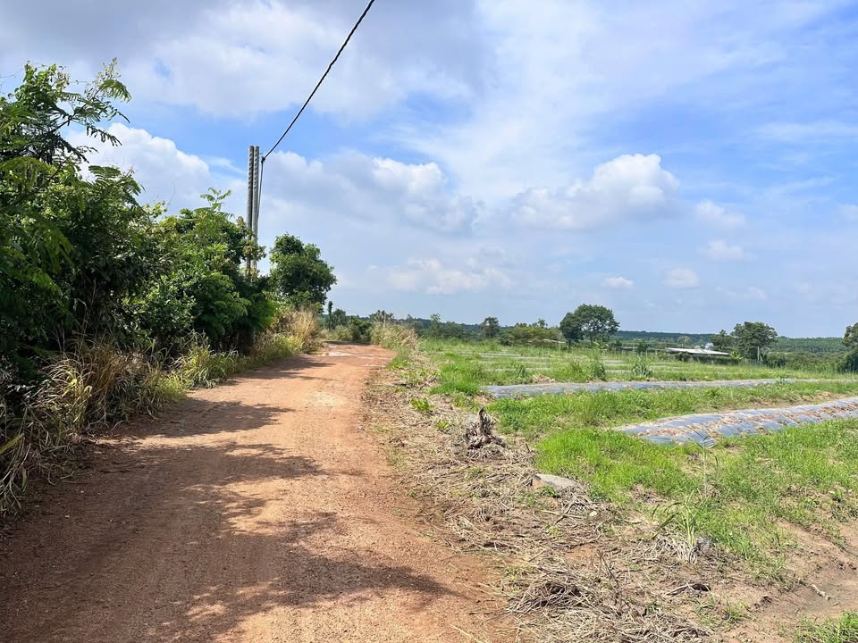 Đất nền Hòa Hiệp, Xuyên Mộc 15000m² giá 835.2 triệu - Đầu tư sinh lời ngay!