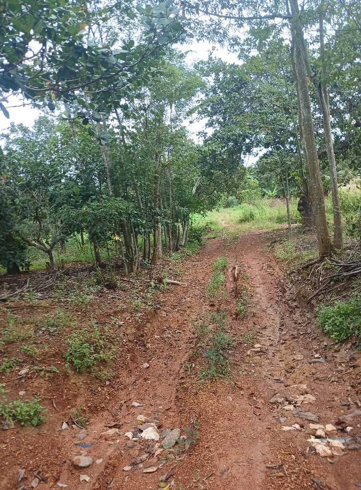 Đất nền Suối Rao Châu Đức 10.440m² giá 1.218 tỷ - Đường thông, tiện ích đầy đủ!