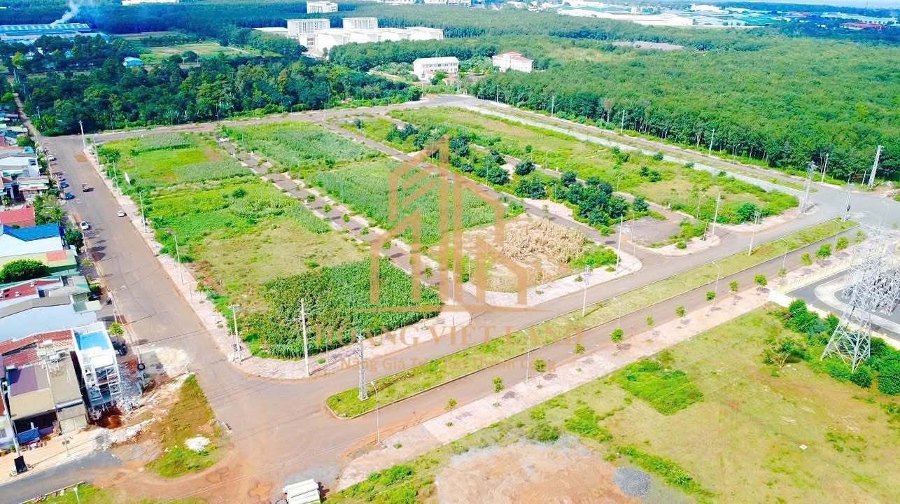 Đất mặt tiền đường Lê Thanh Nghị, Tân An 102m² giá 3,99 tỷ - Đầu tư sinh lời nhanh!