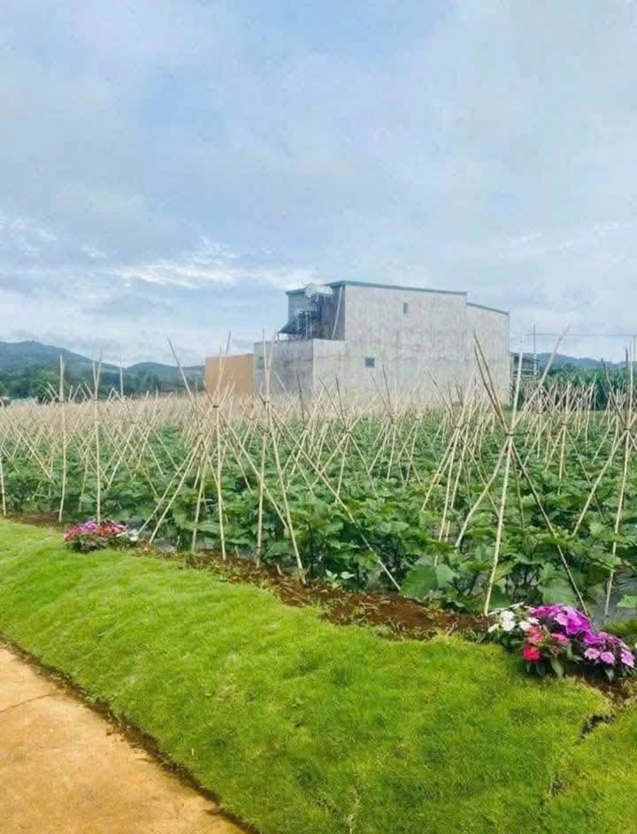 Đất Liên Hiệp Đức Trọng 100m² giá 760 triệu - Cần bán gấp trong tuần!