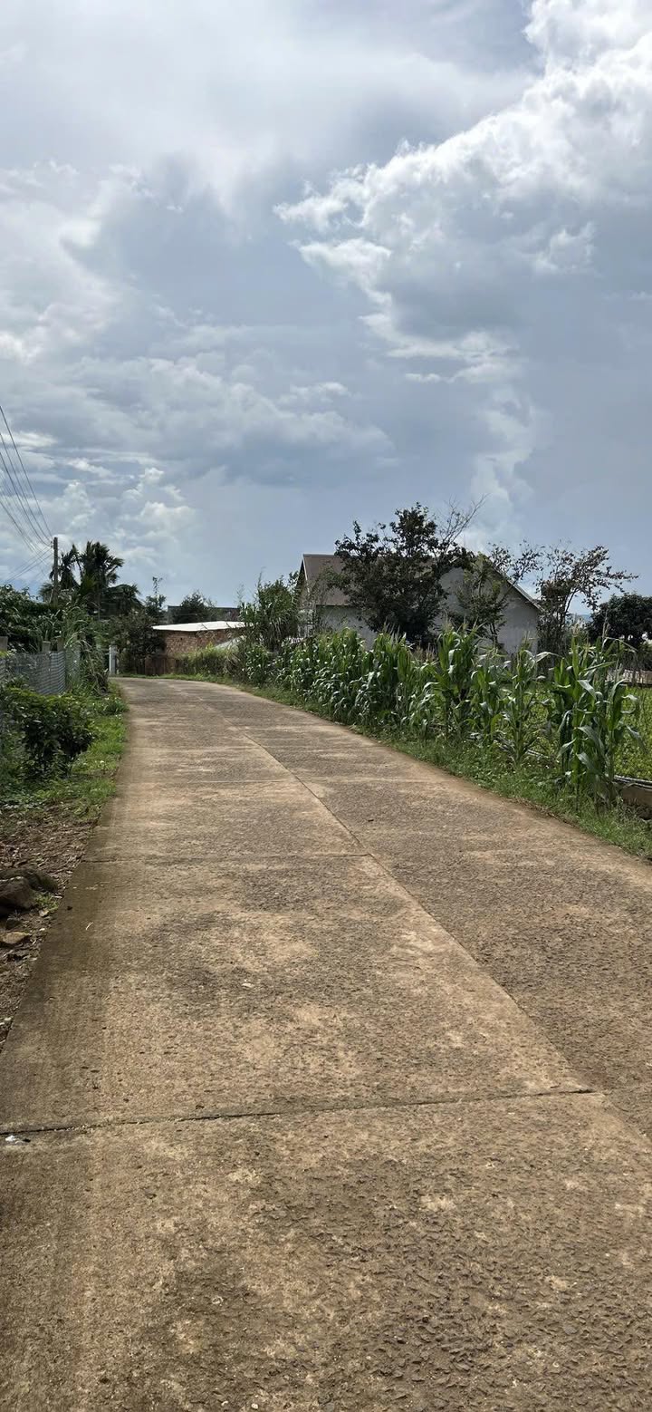 Đất nền Ba Cản Tân Hội 75m² giá 600 triệu - Cơ hội đầu tư tuyệt vời!