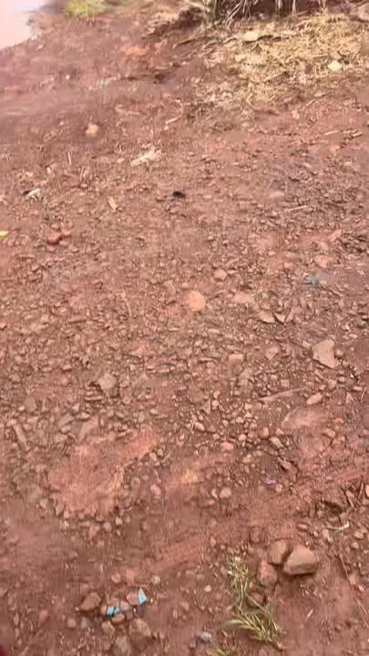 Đất thổ cư thôn 3 Tân Bình 1800m² giá thương lượng - Cơ hội đầu tư hấp dẫn!