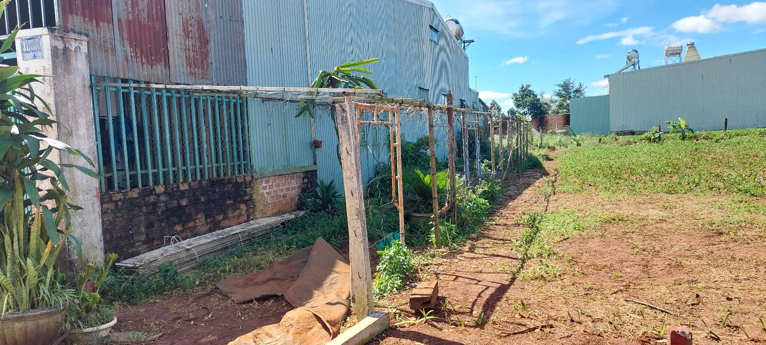 Đất ở chính chủ tại hẻm 21 Nguyên Tuân, Thắng Lợi 150m² - Giá thỏa thuận hấp dẫn!