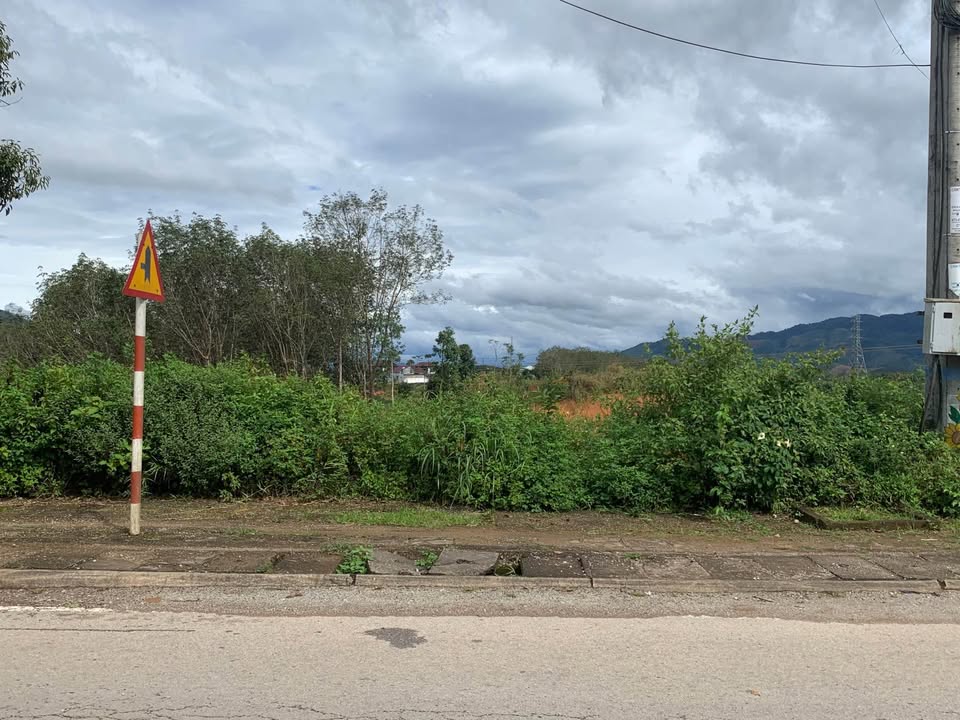 Đất nền Hùng Vương Ngọc Hồi 210m² giá 2 tỷ - Sổ hồng chính chủ, đầu tư sinh lời!