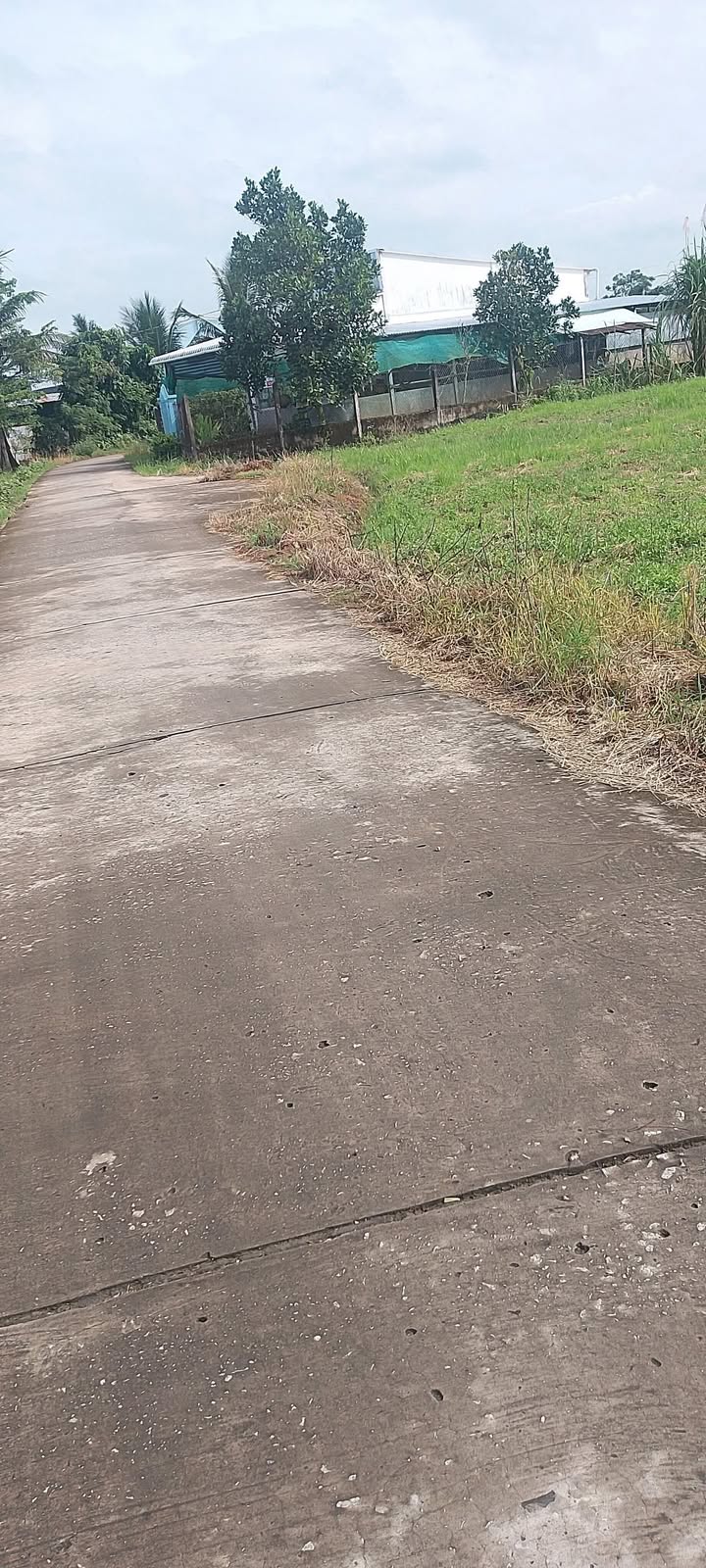 Đất nền mặt tiền ấp Bờ Đập, xã Viên An, giá chỉ 160 triệu - Cơ hội đầu tư tuyệt vời!