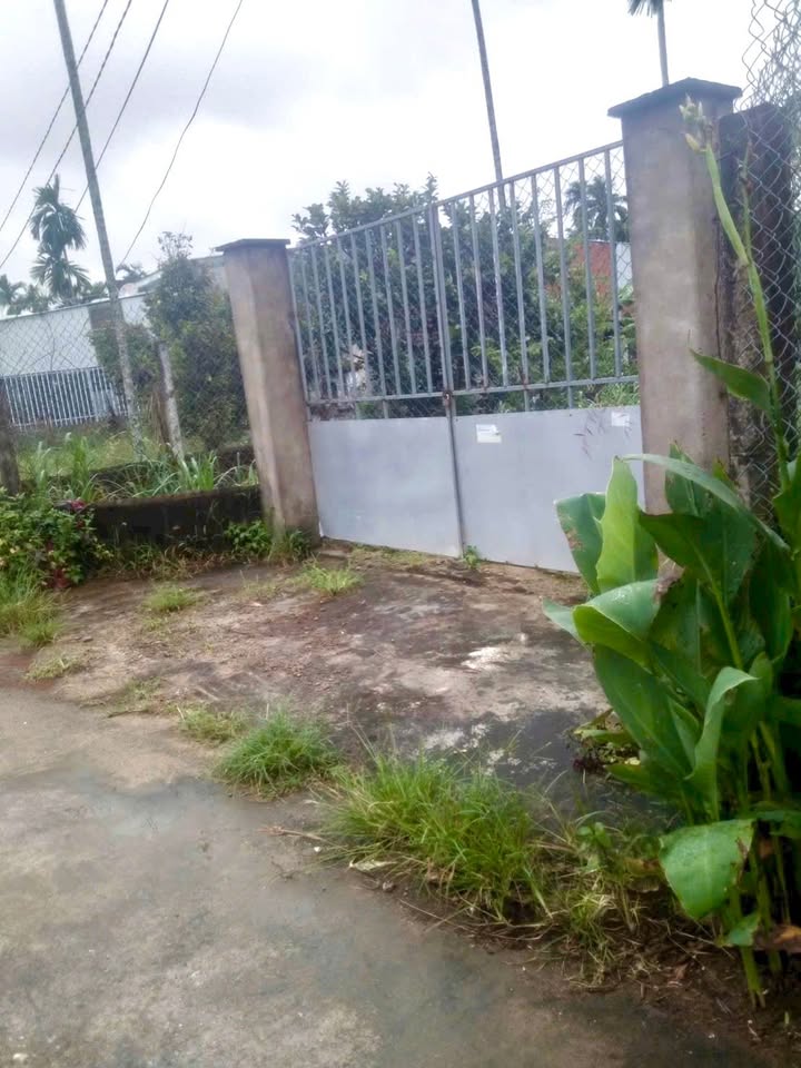 Đất nền đẹp Nghĩa Điền, Quảng Ngãi 360m² giá chỉ 1.6 tỷ - Không ngập lụt, ô tô vào tận nơi!