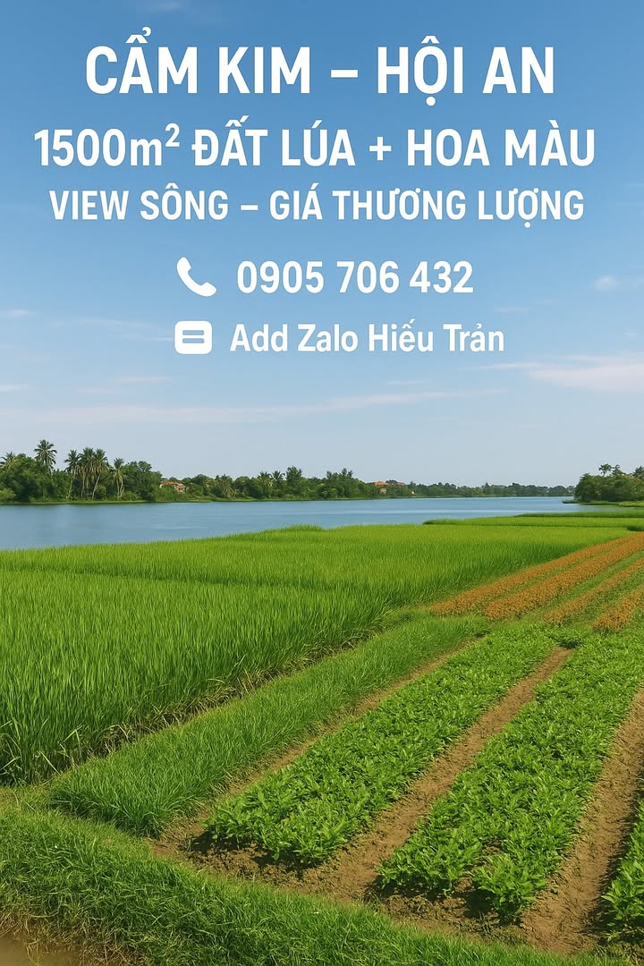 Đất nông nghiệp Cẩm Kim Hội An 1500m² giá thương lượng - Cơ hội đầu tư hấp dẫn!