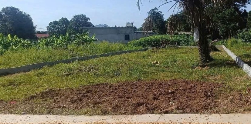 Đất thổ cư Phú Thành - 111.3m² giá chỉ 600 triệu - Cơ hội đầu tư tốt!