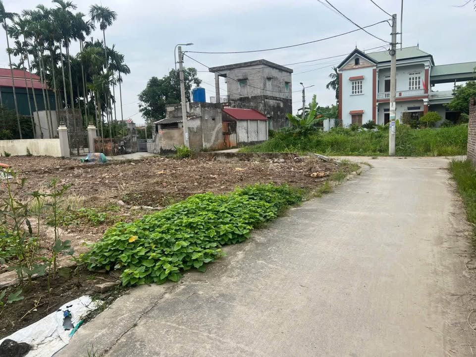 Đất nền Tân Thịnh, Bồng Lai 105m² giá 1 tỷ - Sổ hồng chính chủ, ô tô vào tận nơi!