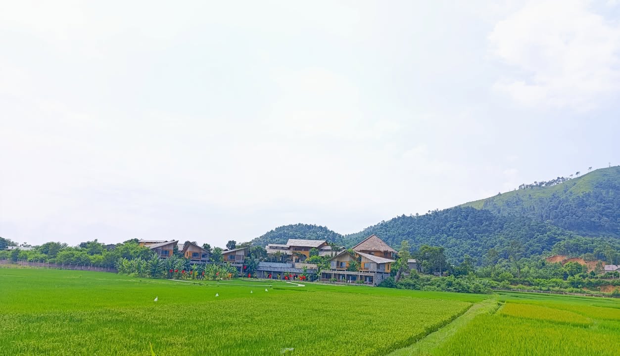 Đất nền đẹp 225m² tại Trung Giã, Sóc Sơn - Chỉ 2 tỷ, sổ đỏ chính chủ!