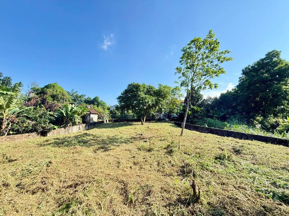 Đất nền xã Sơn Đà Ba Vì 1620m² giá chỉ 1 triệu/m² - Cơ hội đầu tư tuyệt vời!