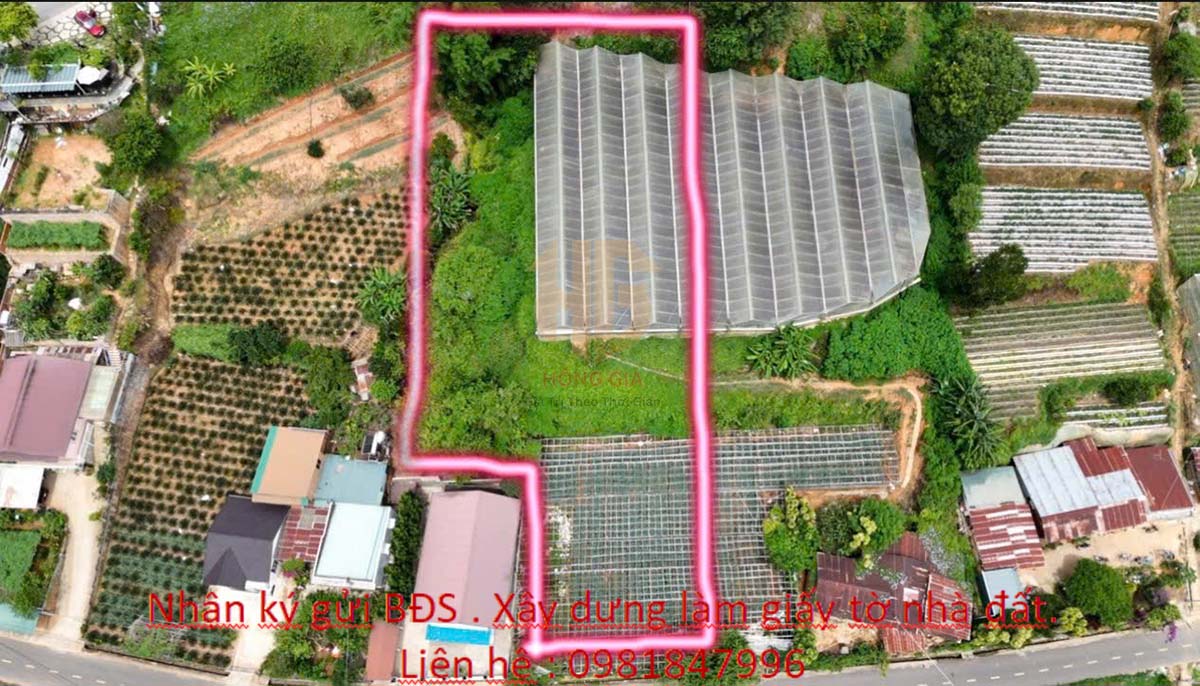 Bán đất mặt tiền đường Đa Phú, Đà Lạt 2748m² giá 26.5 tỷ - Cơ hội đầu tư sinh lời cao!