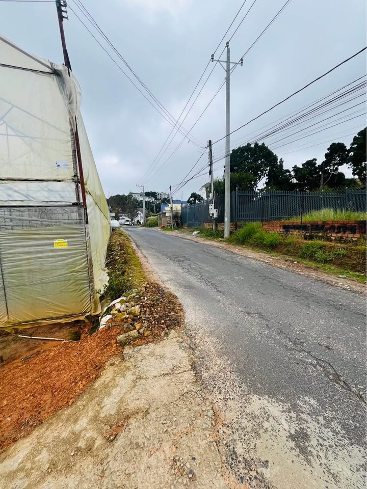 Đất mặt tiền đường Trịnh Hoài Đức, P11 Đà Lạt 250m² giá 12 tỷ - Tiềm năng đầu tư lớn!