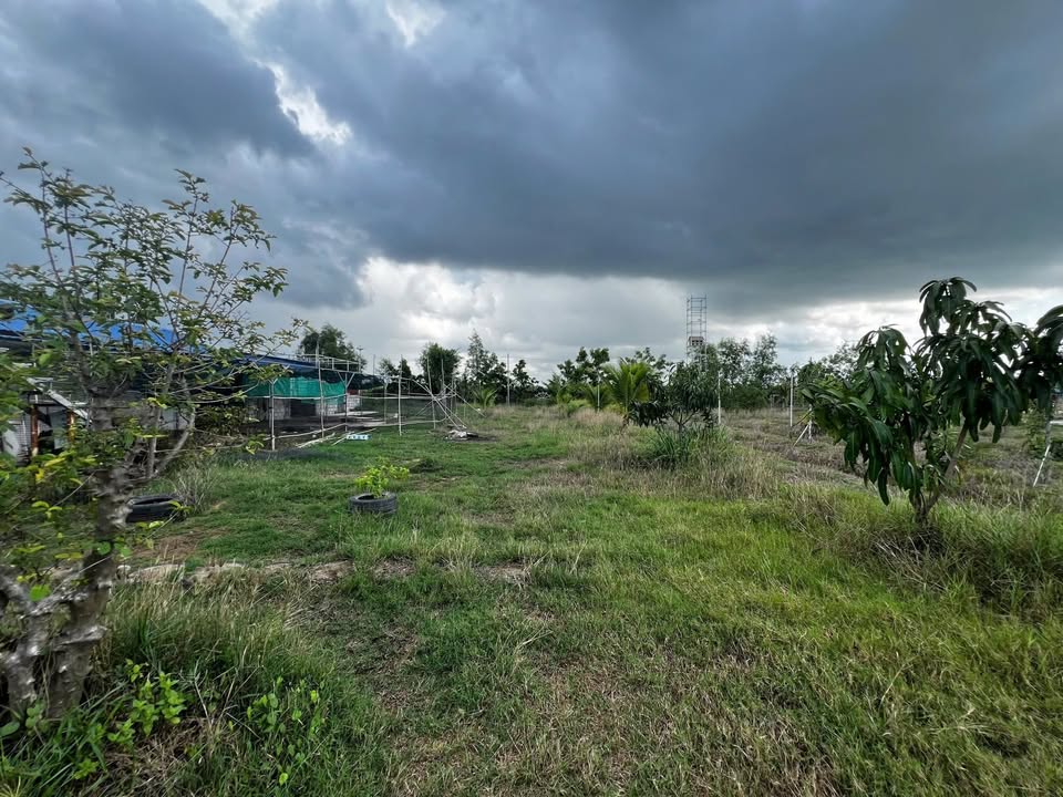 Bán lô đất 1201m² Xã Hàm Liêm, Hàm Thuận Bắc - Đường ô tô tận nơi!