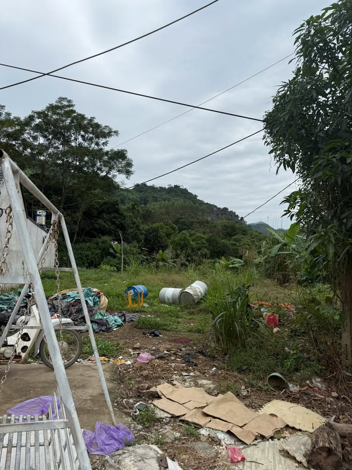 Đất thổ cư Quốc lộ 37, Tiến Bộ, Yên Sơn 125m² - Vị trí vàng cho kinh doanh!