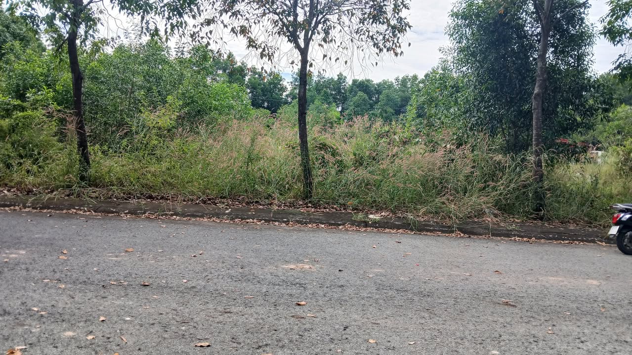 Đất nền biệt thự Mỹ Phước 4, Bến Cát, 360m² giá chỉ 3 tỷ - Cơ hội đầu tư tuyệt vời!