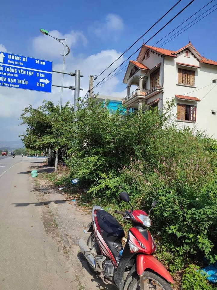 Đất nền chính chủ 101m² tại Minh Thành, Quảng Yên - Giá chỉ 1.9 tỷ, vị trí đắc địa!