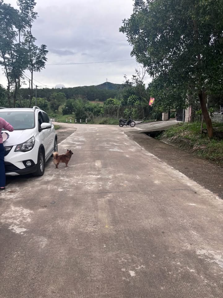 Đất thổ cư 420m² tại thôn 4, xã Chư Hreng, Kon Tum - Giá chỉ 400 triệu!