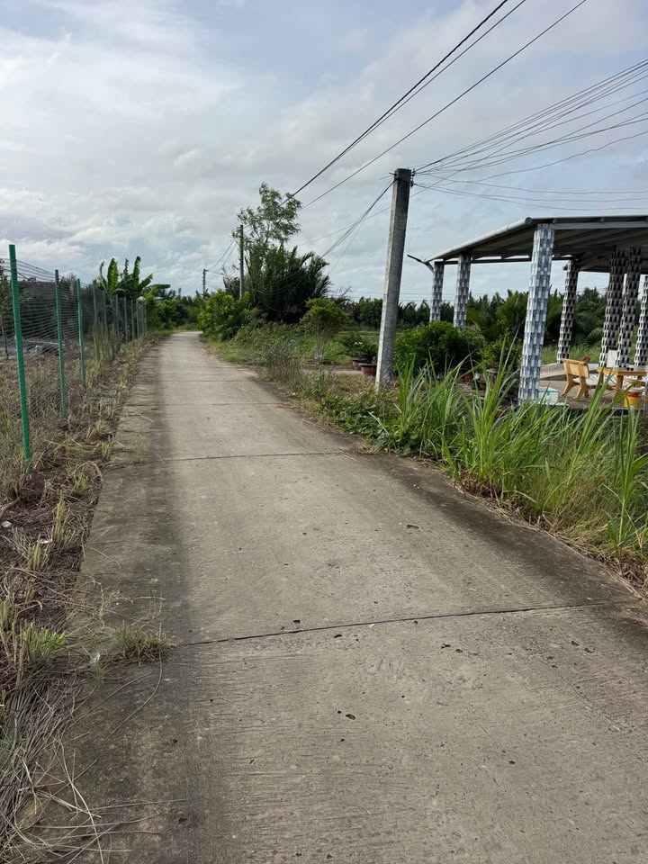 Đất nền xã Phú Đông, Tân Phú Đông, 500m² giá 420 triệu - Sổ hồng riêng chính chủ!