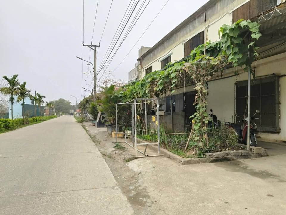 Đất nền Gia Thủy Nho Quan 150m² giá chỉ 800 triệu - Cơ hội đầu tư hấp dẫn!