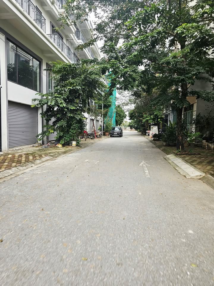 Đất nền TĐC Trâu Quỳ 113m² giá chỉ 19.21 tỷ - Kinh doanh đỉnh cao!