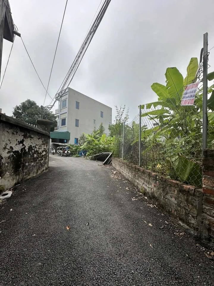 Đất Tiên Kha Tiên Dương 96m² giá chỉ 4 tỷ - Cơ hội vàng cho nhà đầu tư!