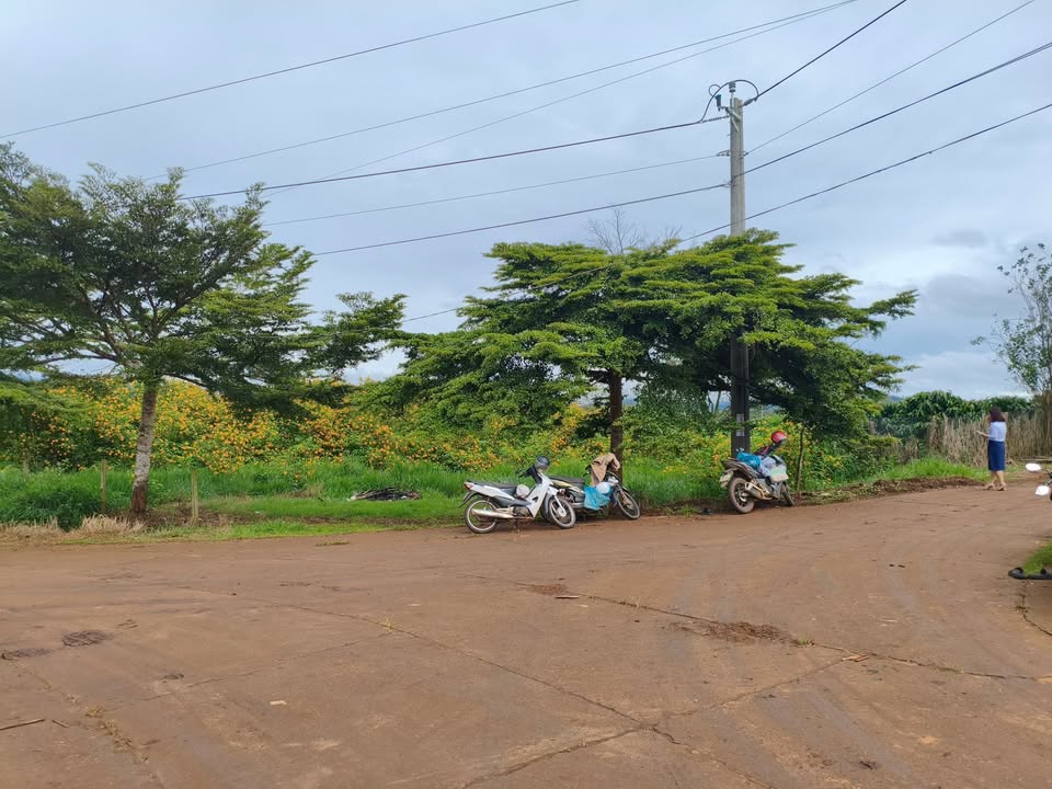 Đất nền Tân Hà, Lâm Đồng 10530m² giá 679 triệu - Cơ hội đầu tư tuyệt vời!