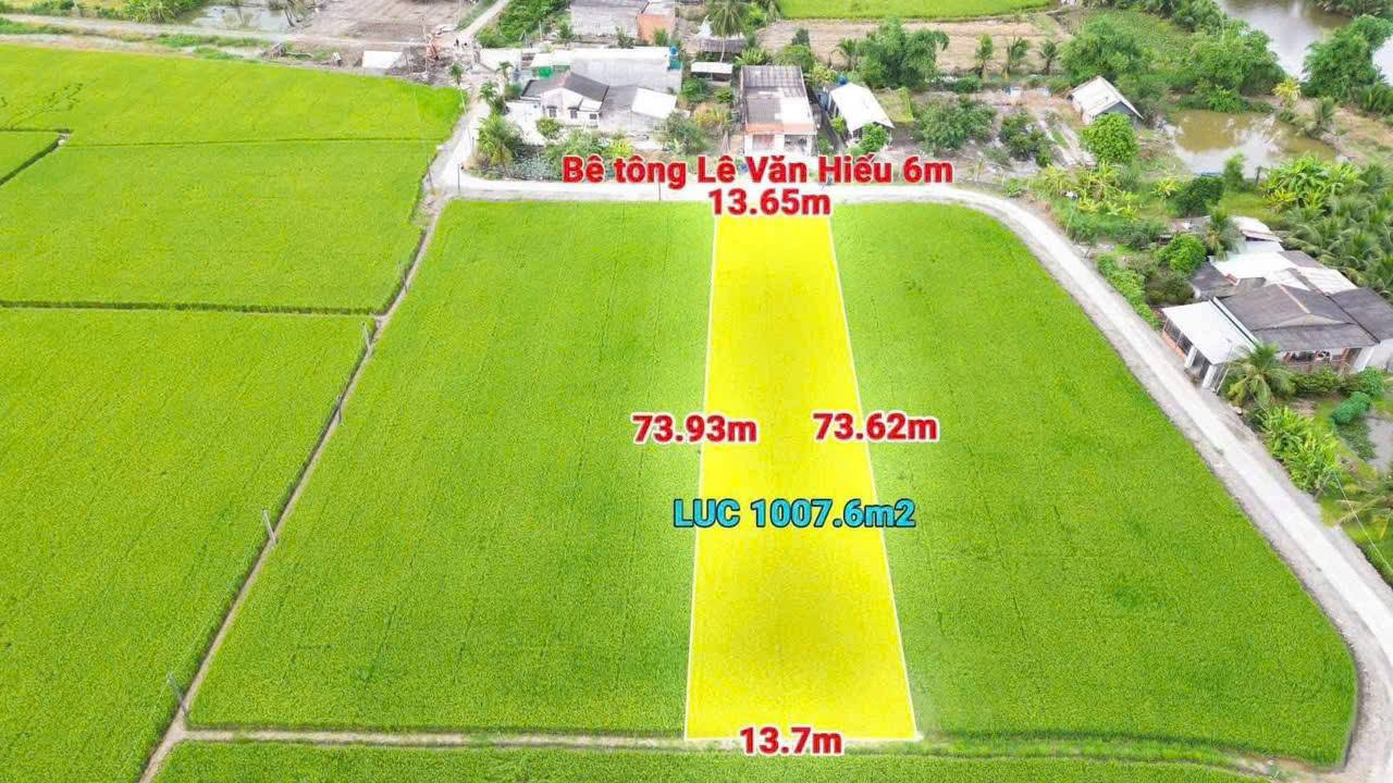Đất nền 1000m² tại Mỹ Thạnh Tân Trụ, Long An - Giá 1.1 tỷ - Cơ hội đầu tư tuyệt vời!