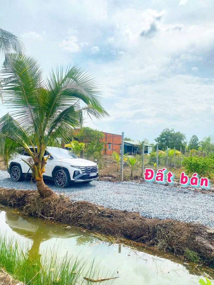 Đất vườn 2000m² xã Tân Thành, Thủ Thừa giá chỉ 1.198 tỷ - Đầu tư sinh lời ngay!