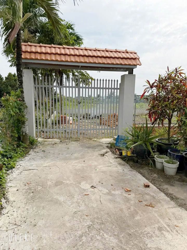 Đất vườn 700m² xã Vĩnh Công, Châu Thành, Long An - Giá chỉ 590 triệu, thương lượng ngay!