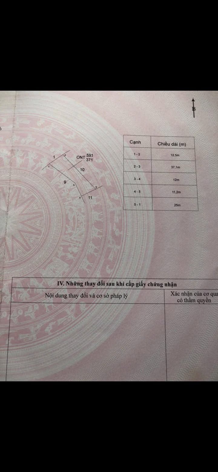 Đất thổ cư Phước Lại, Cần Giuộc 371m² giá 1.2 tỷ - Sổ hồng chính chủ!