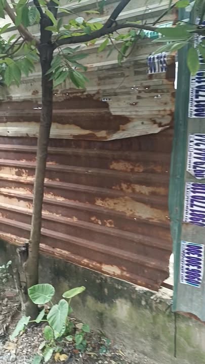 Bán lô đất 105m² Hẻm 4m Đường 234, Bình Chánh - Giá chỉ 1.1 tỷ VND, cơ hội đầu tư tuyệt vời!