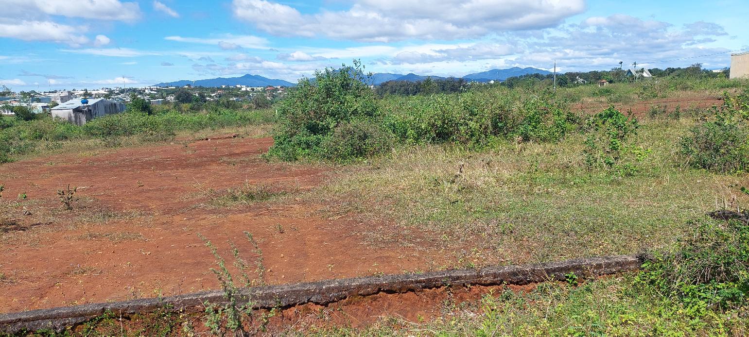 Đất ở hẻm Nguyễn Tuân, phường Thắng Lợi, 253.25m² - Giá chỉ 1 tỷ VND!