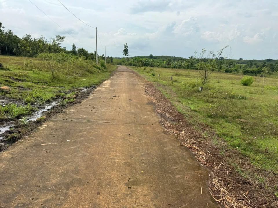 Đất thổ cư Ấp 6 Lộc Hưng 1296m² giá 280 triệu - Sổ đỏ chính chủ!