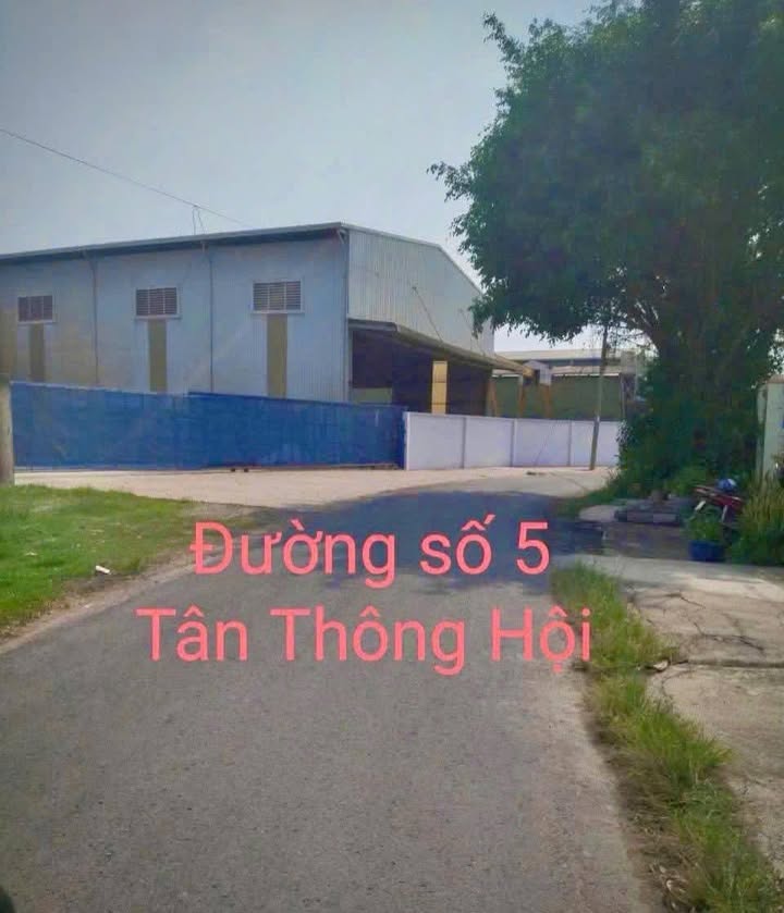 Đất nền Tân Thông Hội, Củ Chi 101m² giá 2.35 tỷ - Vị trí đẹp, đầu tư sinh lời!