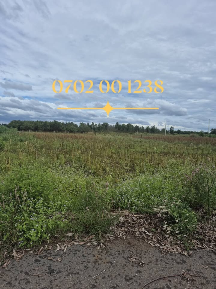 Đất nền Đá Bạc Châu Đức 1000m² giá 1.1 tỷ - Lô góc 2 mặt tiền hoàn hảo!