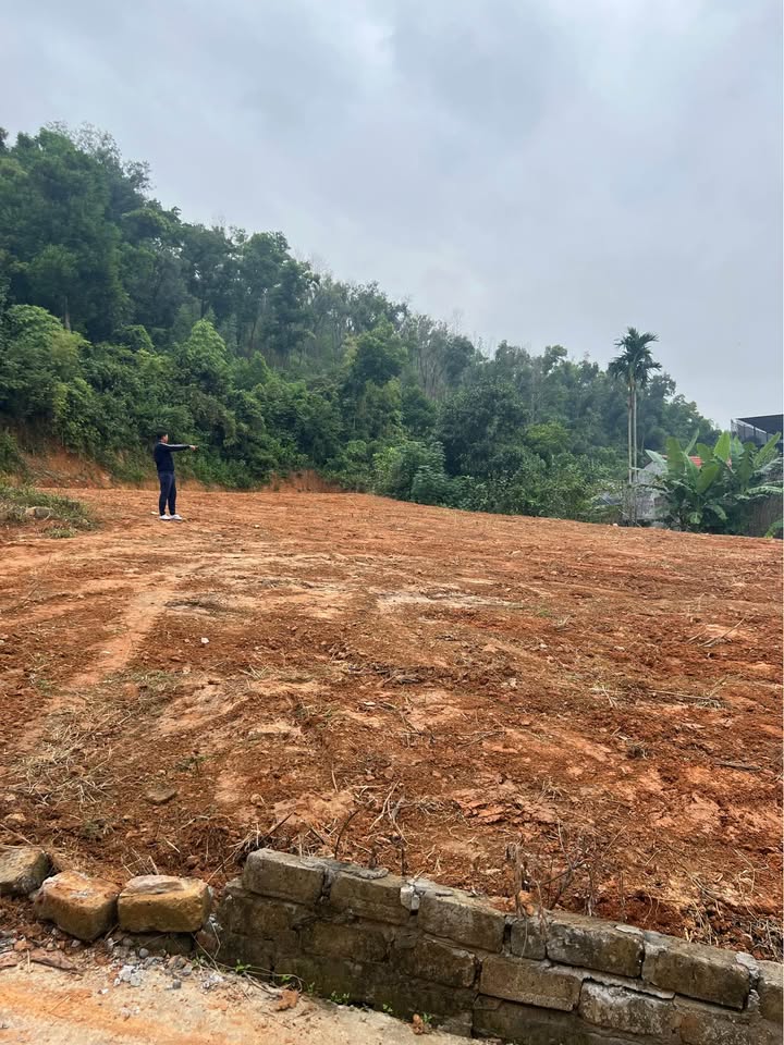 Đất thổ cư 805m² tại xã Việt Khê, Hải Phòng giá 3.2 tỷ - Tiềm năng đầu tư cao!