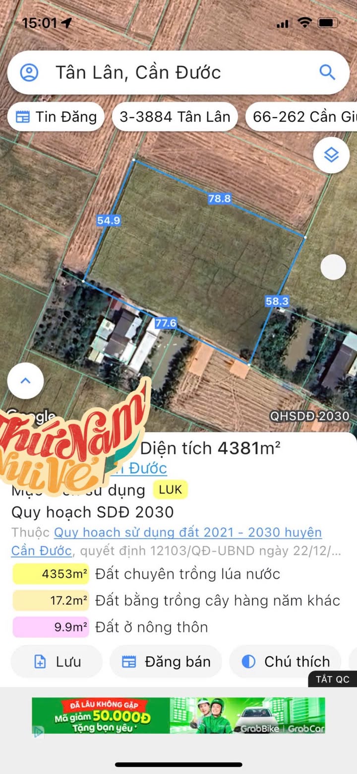 Đất lúa 4383m² Tân Lân, Cần Đước - Chính chủ bán gấp chỉ 600 triệu