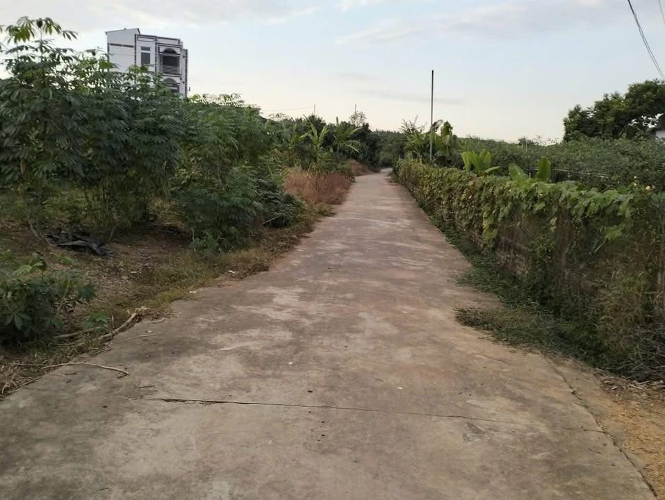 Đất nền Đồng Cốc Lục Ngạn 2333m² giá vài trăm triệu - Cơ hội đầu tư tuyệt vời!