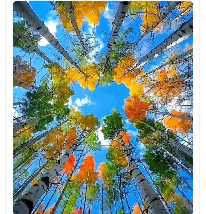 Đất nền tại thôn Tiền, Ninh Nhất 82m² giá 7 tỷ - Đầu tư sinh lời ngay!